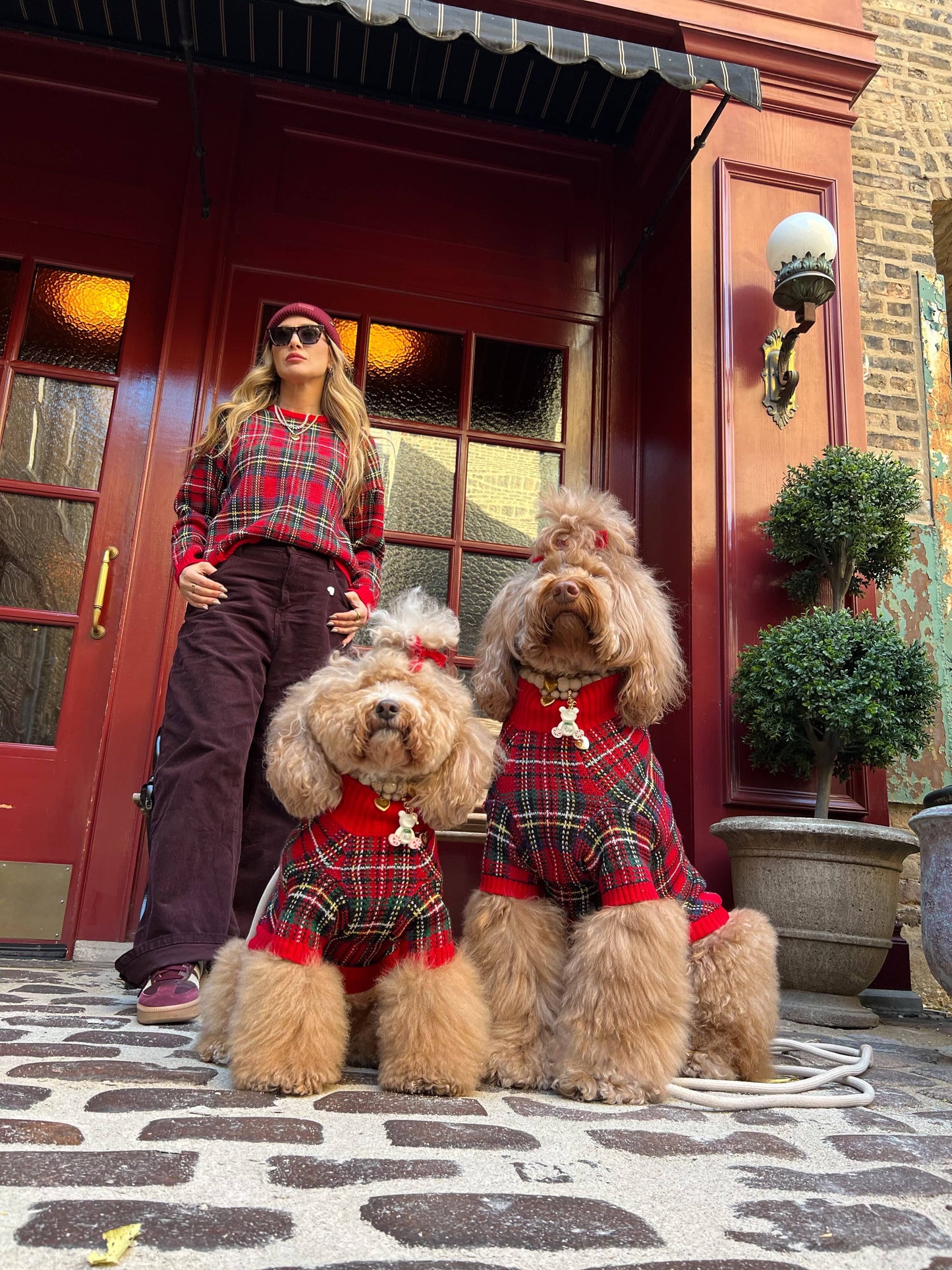 Tartanette Dog Sweater