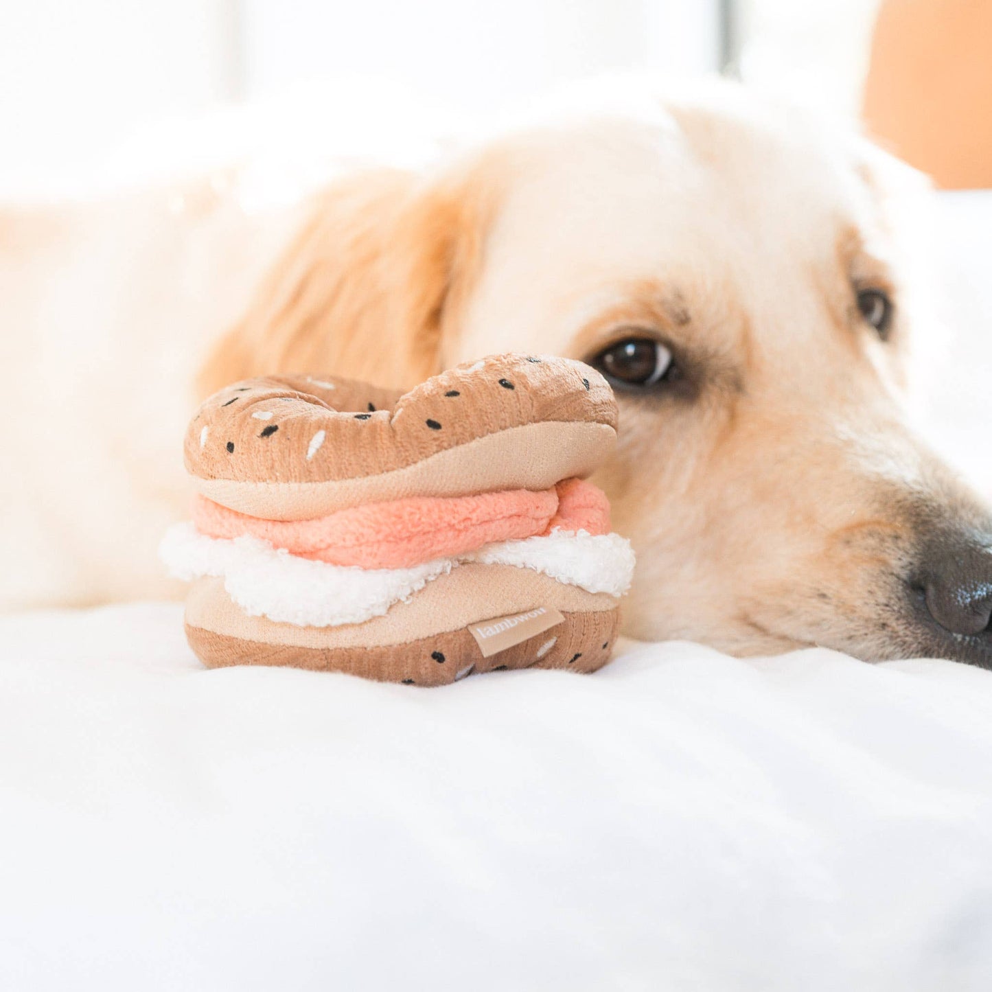 Bagel + Pickle//ENRICHMENT DOG TOY